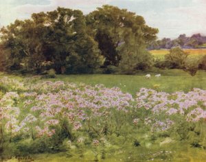 The New Forest: Riversdale, Boldre (kolor lito) autorstwa Walter Frederick Roofe Tyndale