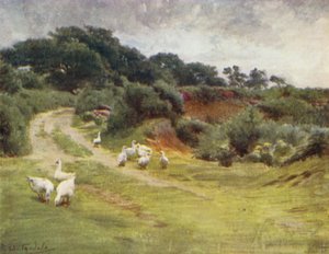 The New Forest: Royden Common, niedaleko Brokenhurst (kolor lito) autorstwa Walter Frederick Roofe Tyndale