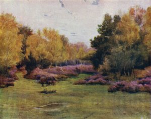 The New Forest: Rushpole Wood, Lyndhurst (kolor lito) autorstwa Walter Frederick Roofe Tyndale