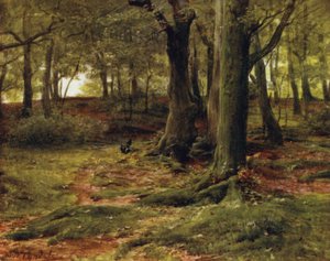 The New Forest: The Hill Woods, Lyndhurst (kolor lito) autorstwa Walter Frederick Roofe Tyndale