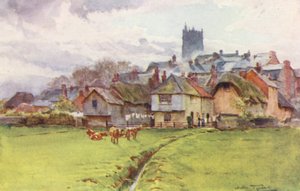 Wessex: Fordington, Dorchester (druk kolorowy) autorstwa Walter Frederick Roofe Tyndale