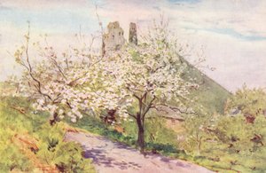Wessex: Wiosna w Wessex (kolorowa litografia) autorstwa Walter Frederick Roofe Tyndale