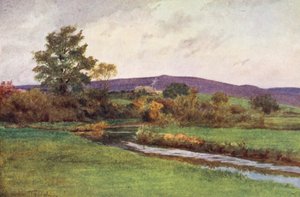 Wessex: "Taczka deszczu" z Powrotu tubylca (kolorowa litografia) autorstwa Walter Frederick Roofe Tyndale