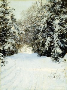 Zaśnieżone drzewa