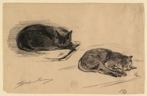 Badanie kotów autorstwa Walter Shirlaw