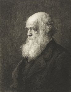 Karol Robert Darwin (grafika) autorstwa Walter William (after) Ouless