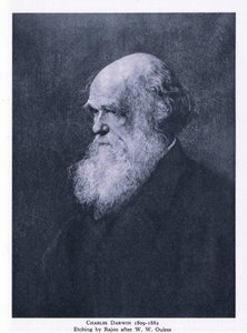 Etching of Charles Darwin, Nature in Britain, wydane przez Collins autorstwa Walter William (after) Ouless