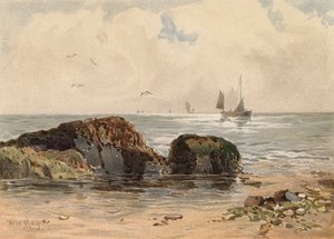 Skały przy niskiej wodzie (kolor litograficzny) autorstwa Walter William May
