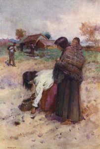 Nowa Zelandia: Sadzenie ziemniaków (kolorowa litografia)