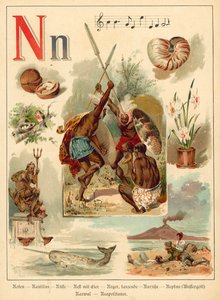 Litera N (chromolitho)
