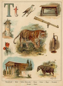 Litera T (chromolitho) autorstwa Walter Zweigle