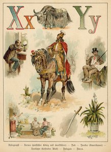 Litera X i litera Y (chromolitho)