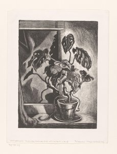 Filodendron w ramie okiennej