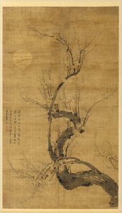 Prunus w świetle księżyca autorstwa Wang Mian