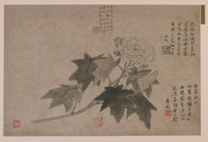 Hibiskus, 1347. autorstwa Wang Yuan