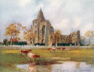  autorstwa Warwick (after) Goble
