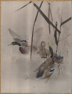 Kaczki w szuwarach, ca. 1887. autorstwa Watanabe Seitei