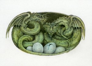 Amphisbaena autorstwa Wayne Anderson