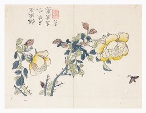 Ogród z nasion gorczycy autorstwa Wen-shu Chao