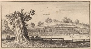 Albury autorstwa Wenceslaus Hollar