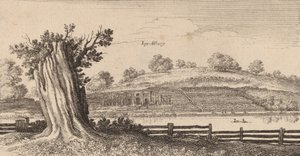 Albury, 1645. autorstwa Wenceslaus Hollar