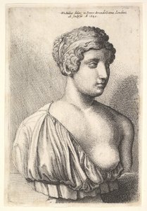 Antyczne popiersie kobiety, 1645. autorstwa Wenceslaus Hollar
