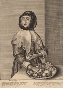 Jesień 1641. autorstwa Wenceslaus Hollar