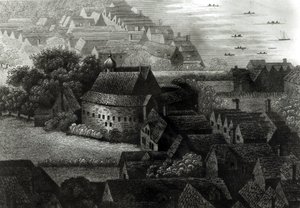 Ogród Niedźwiedzia, 1647 autorstwa Wenceslaus Hollar