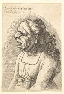 Popiersie kobiety z szeroko otwartymi ustami i długimi kręconymi włosami opadającymi na ramiona, ubrana w..., 1665. autorstwa Wenceslaus Hollar