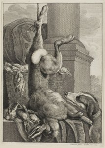Martwy Zając autorstwa Wenceslaus Hollar