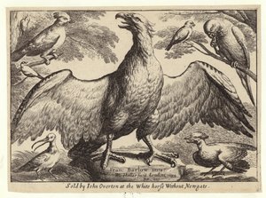 Orzeł i inne ptaki autorstwa Wenceslaus Hollar
