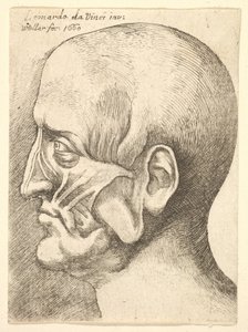 Ecorche głowa mężczyzny z profilu po lewej, 1660. autorstwa Wenceslaus Hollar