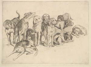 Jedenaście ogarów, 1625-77. autorstwa Wenceslaus Hollar