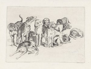Jedenaście psów myśliwskich autorstwa Wenceslaus Hollar
