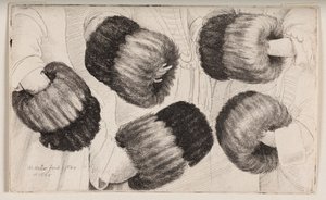 Mufka widziana na pięć różnych sposobów autorstwa Wenceslaus Hollar