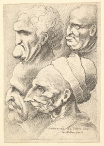 Cztery groteskowe głowy z profilu po lewej, 1625-77. autorstwa Wenceslaus Hollar