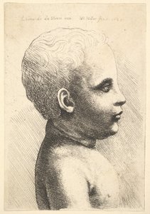 Głowa i ramię dziecka, z profilu po prawej, 1645. autorstwa Wenceslaus Hollar