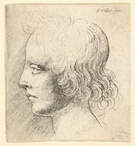 Głowa młodego mężczyzny autorstwa Wenceslaus Hollar