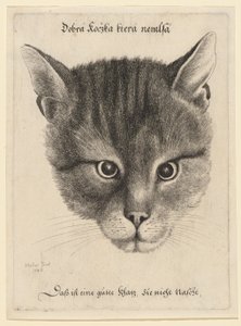  autorstwa Wenceslaus Hollar