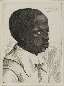 Głowa młodego czarnego chłopca z profilu po prawej autorstwa Wenceslaus Hollar