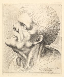 Głowa mężczyzny z wystającym podbródkiem i zadartym nosem, patrząca w górę z profilu w lewo, 1625-77. autorstwa Wenceslaus Hollar