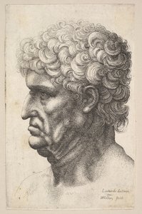 Głowa mężczyzny z gęstymi kręconymi włosami z profilu po lewej, 1640-49. autorstwa Wenceslaus Hollar