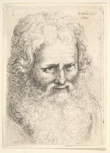 Głowa starego mężczyzny z dużą brodą autorstwa Wenceslaus Hollar