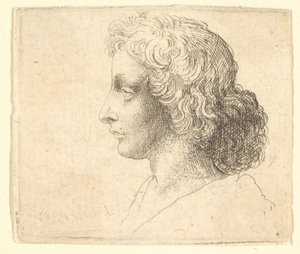Głowa młodego mężczyzny z długimi włosami z profilu po lewej, 1644-52. autorstwa Wenceslaus Hollar