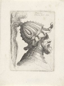 Głowa mężczyzny w hełmie z pióropuszem Głowy z hełmami do Parmigianino (tytuł serii) autorstwa Wenceslaus Hollar