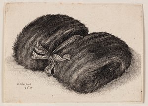 Ciemna rękawiczka z futerkiem z kokardką autorstwa Wenceslaus Hollar