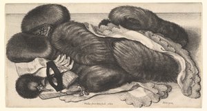  autorstwa Wenceslaus Hollar