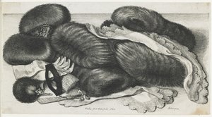 Mufki i artykuły odzieżowe na stole, 1647 autorstwa Wenceslaus Hollar
