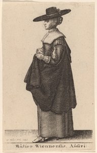 Kobieta z Wiednia, Austria autorstwa Wenceslaus Hollar