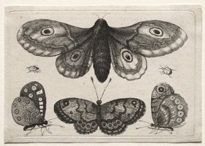  autorstwa Wenceslaus Hollar
